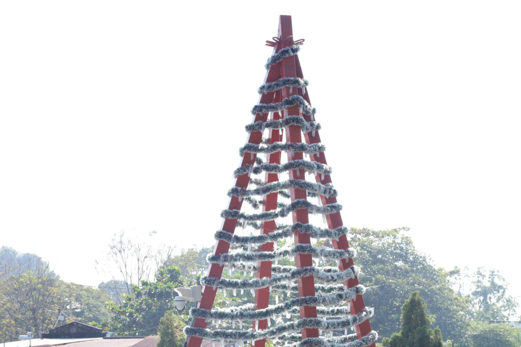 Chụp hình